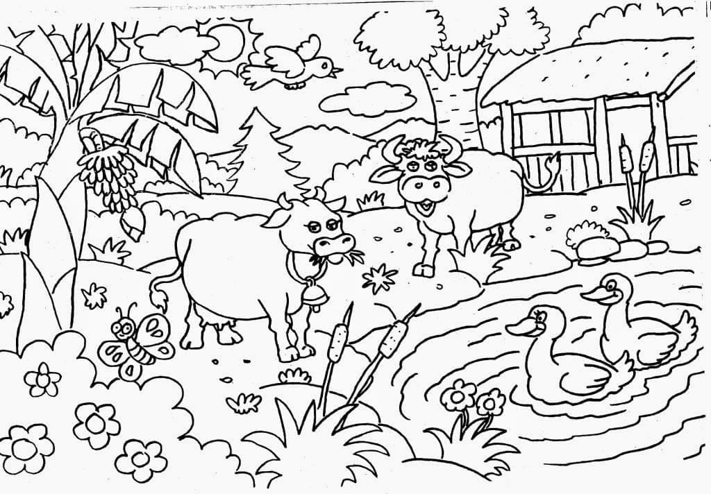 Vacas e patos na fazenda para colorir