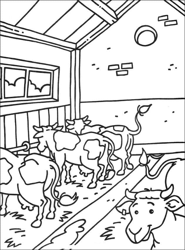 Desenhos de Vacas na Fazenda para colorir