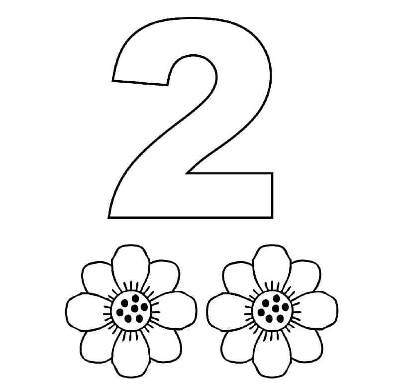 Número 2 com flores para colorir