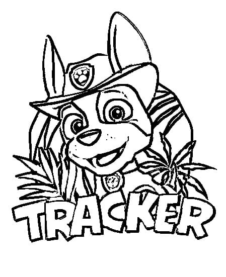 Desenhos de Desenho do Tracker Patrulha Canina para colorir