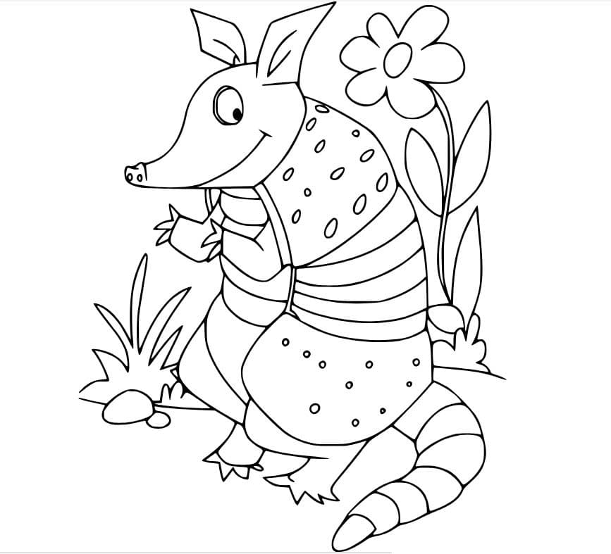 Desenhos de Tatu e Flores para colorir