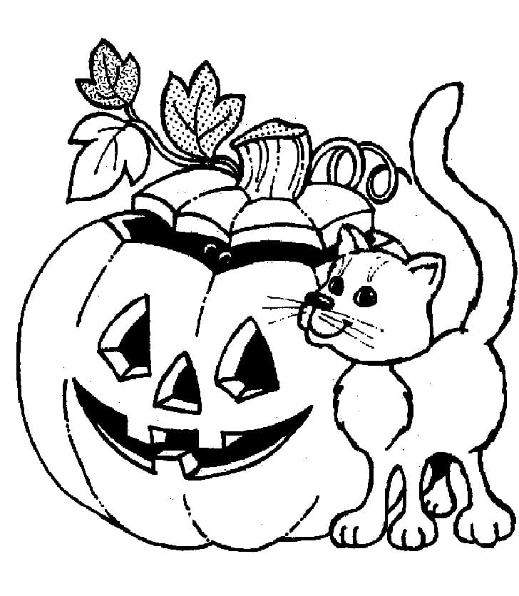 Desenhos de Abóbora de Halloween e gato para colorir