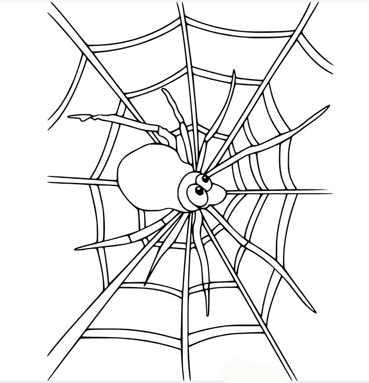 Desenhos de Aranha de desenho animado na teia para colorir