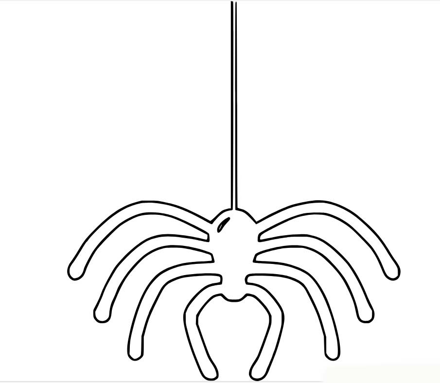 Desenhos de Aranha do Esboço Up para colorir