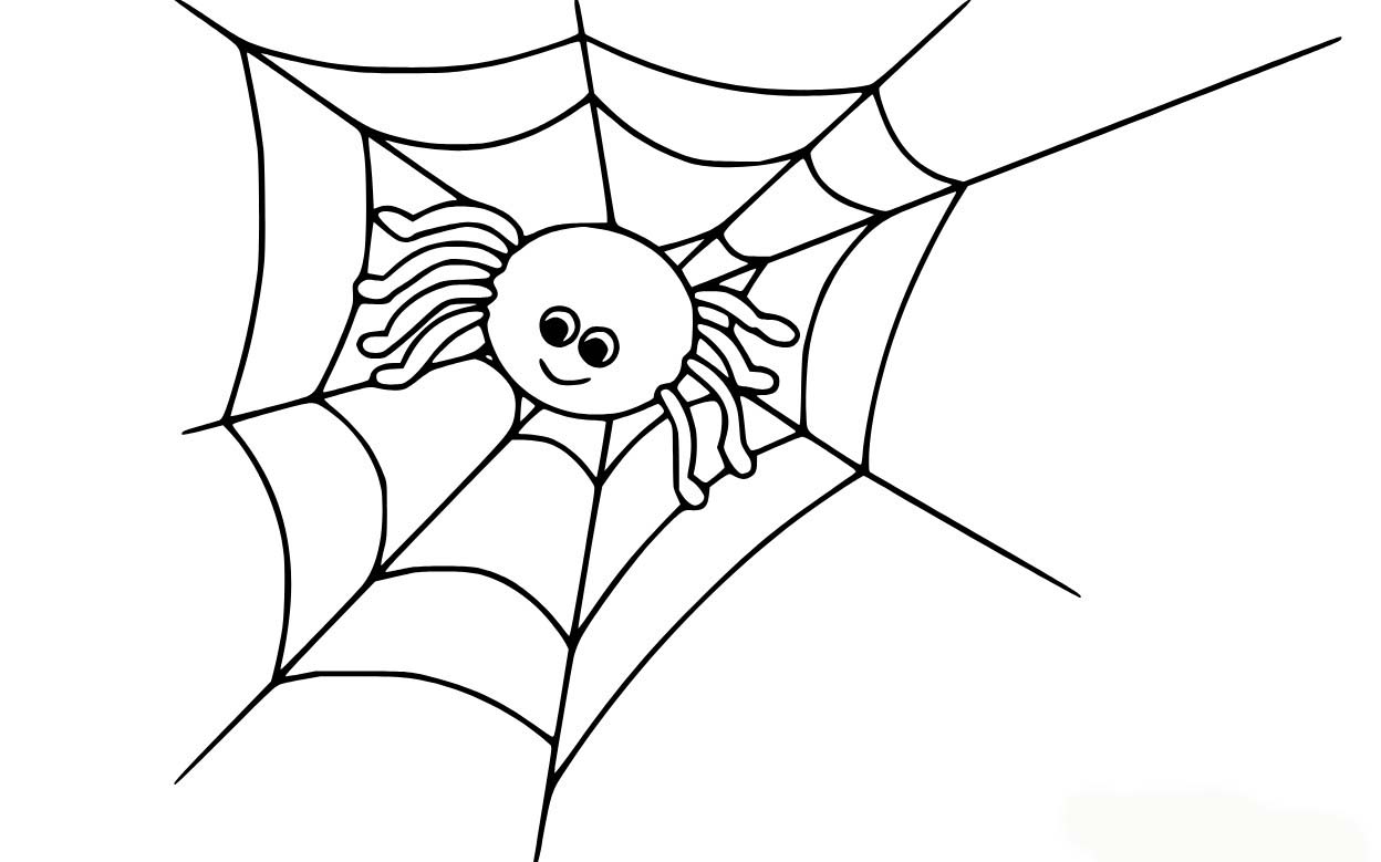 Desenhos de Aranha fofa na teia para colorir