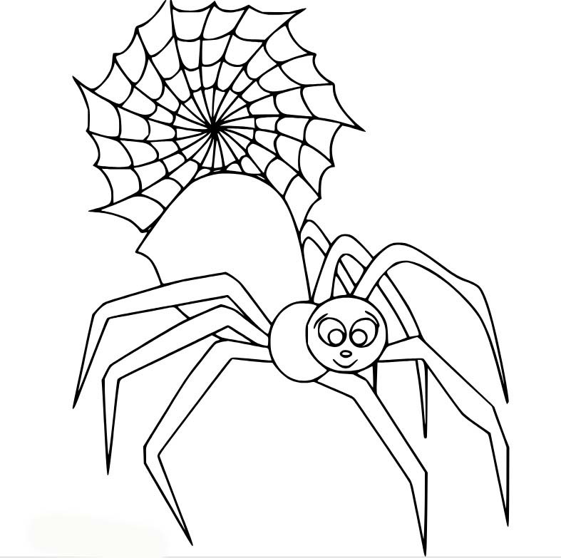 Desenhos de Aranha grande e fofa e teia para colorir