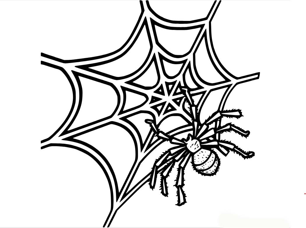 Desenhos de Aranha realista girando teia para colorir