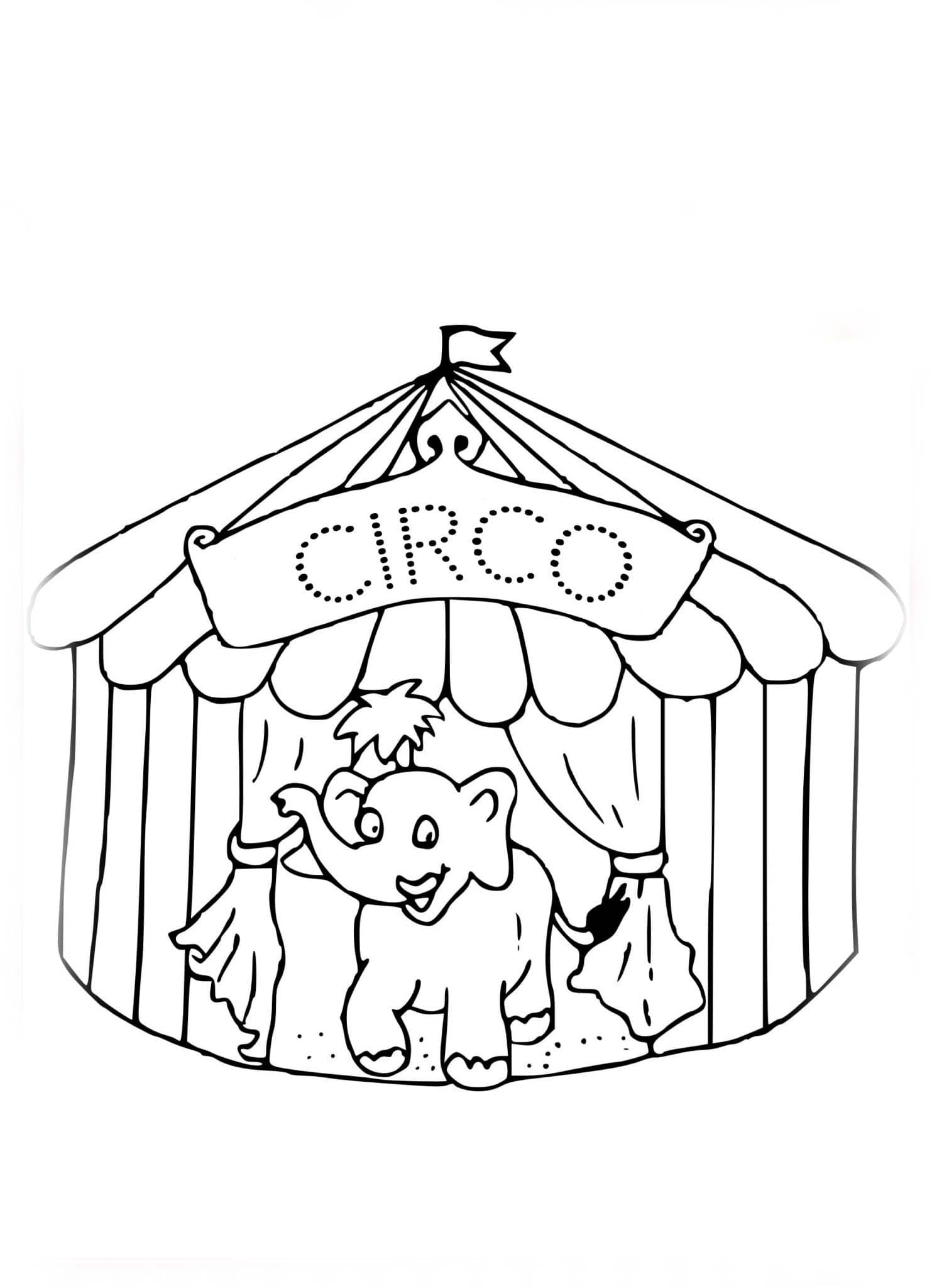 Desenhos de Desenhar Dia do Circo para colorir