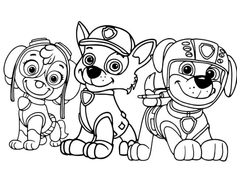 Desenhos de Desenhar Zuma Sky e Rocky para colorir