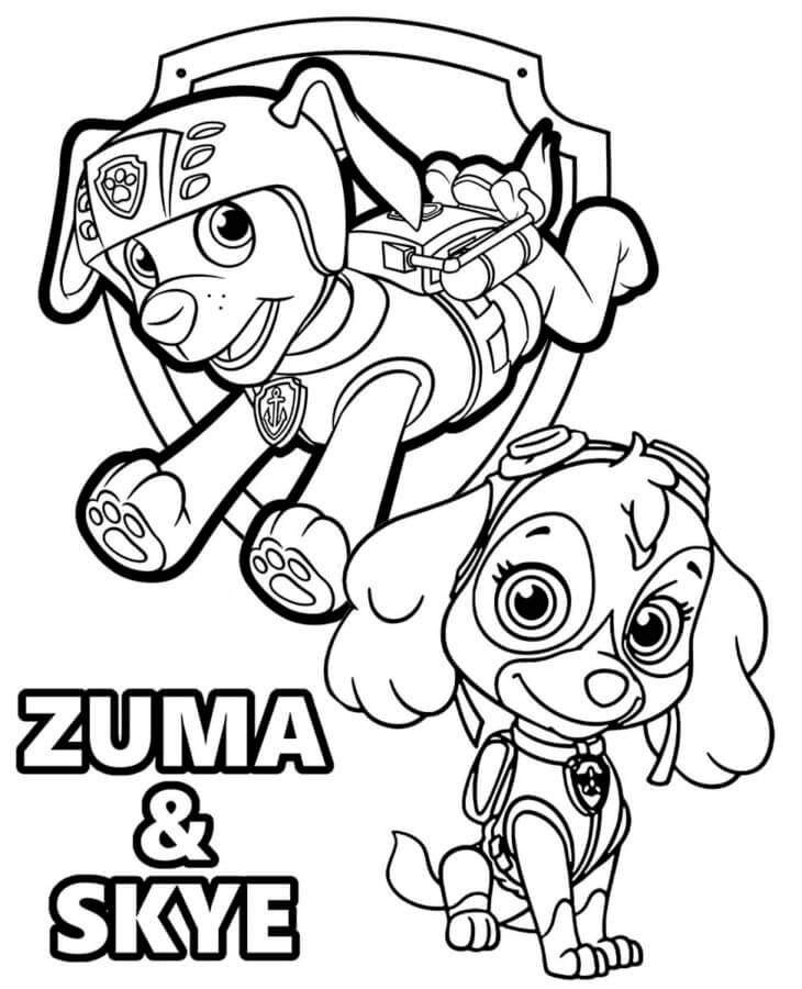 Desenhe Zuma e Sky para colorir