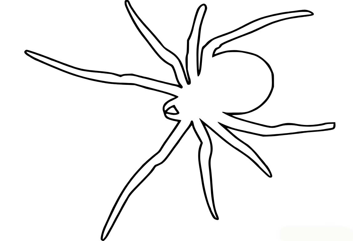 Desenhos de Esboço de aranha assustadora para colorir