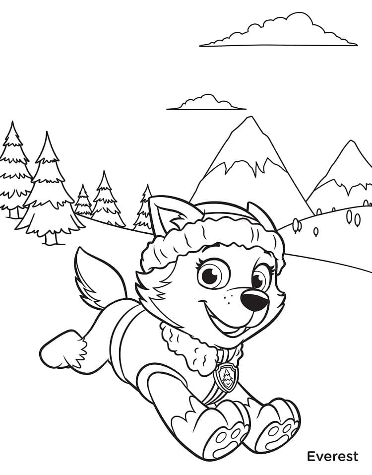 Desenhos de Everest da Patrulha Canina para colorir