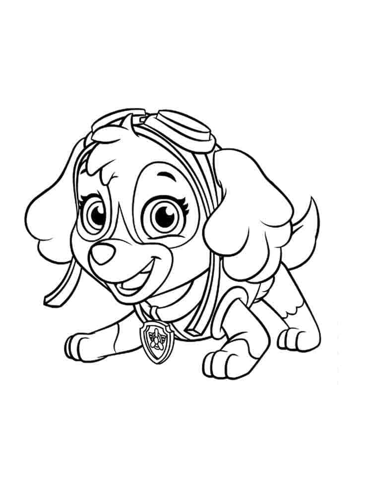 Desenhos de Feliz Skye Patrulha Canina grátis para colorir