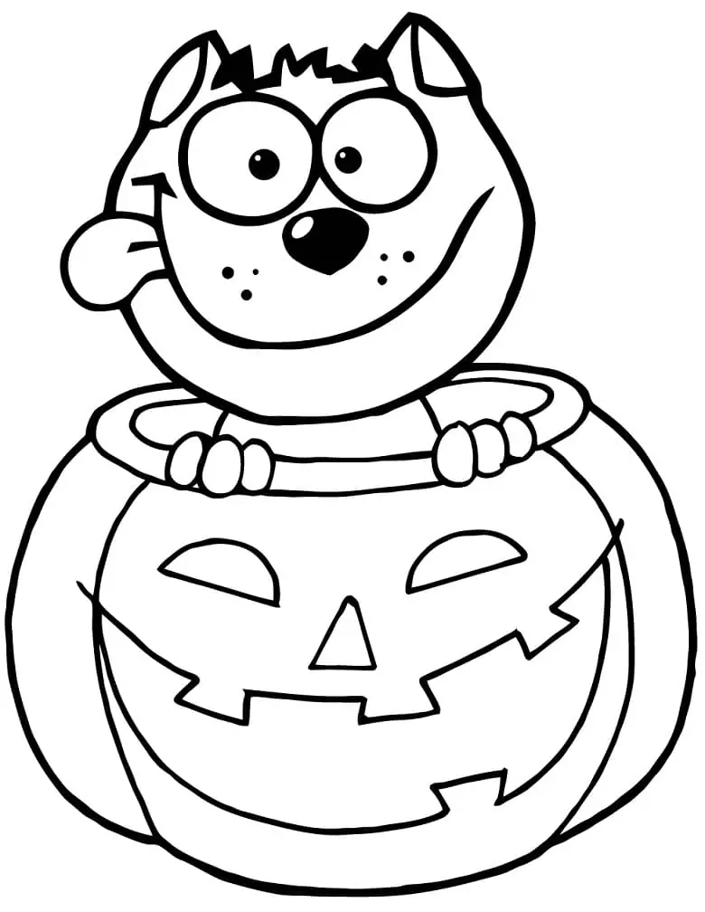 Desenhos de Gato de Halloween dentro de abóbora para colorir