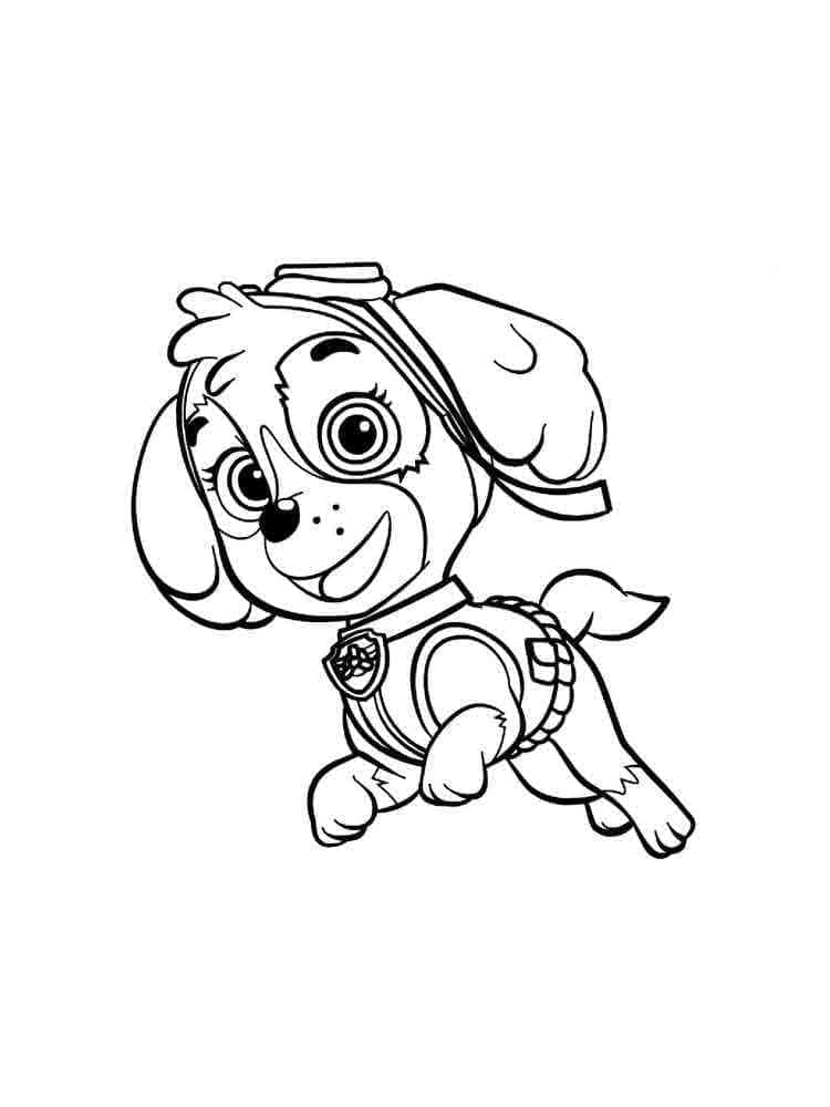 Imagem da Patrulha Canina de Skye para colorir