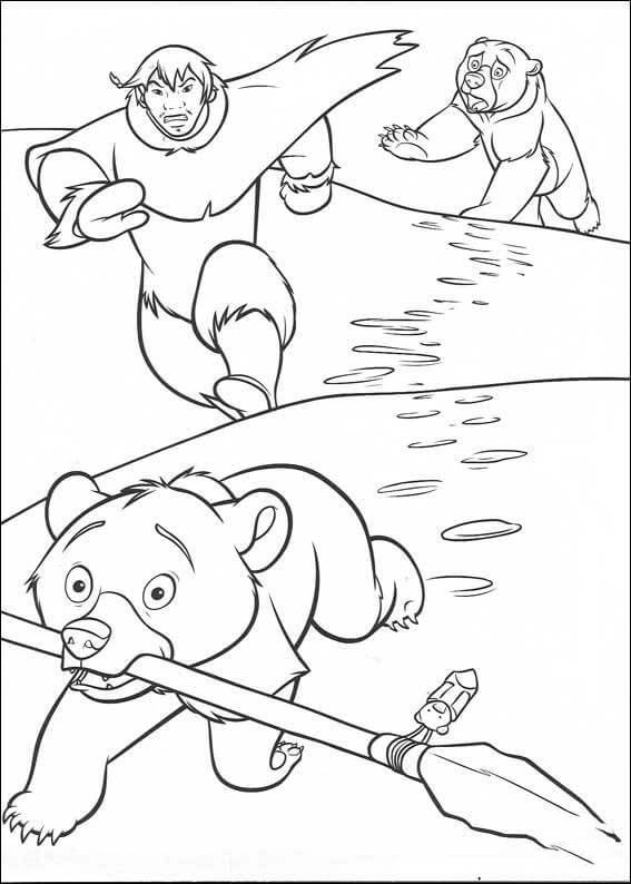 Desenhos de Irmão Urso básico para colorir