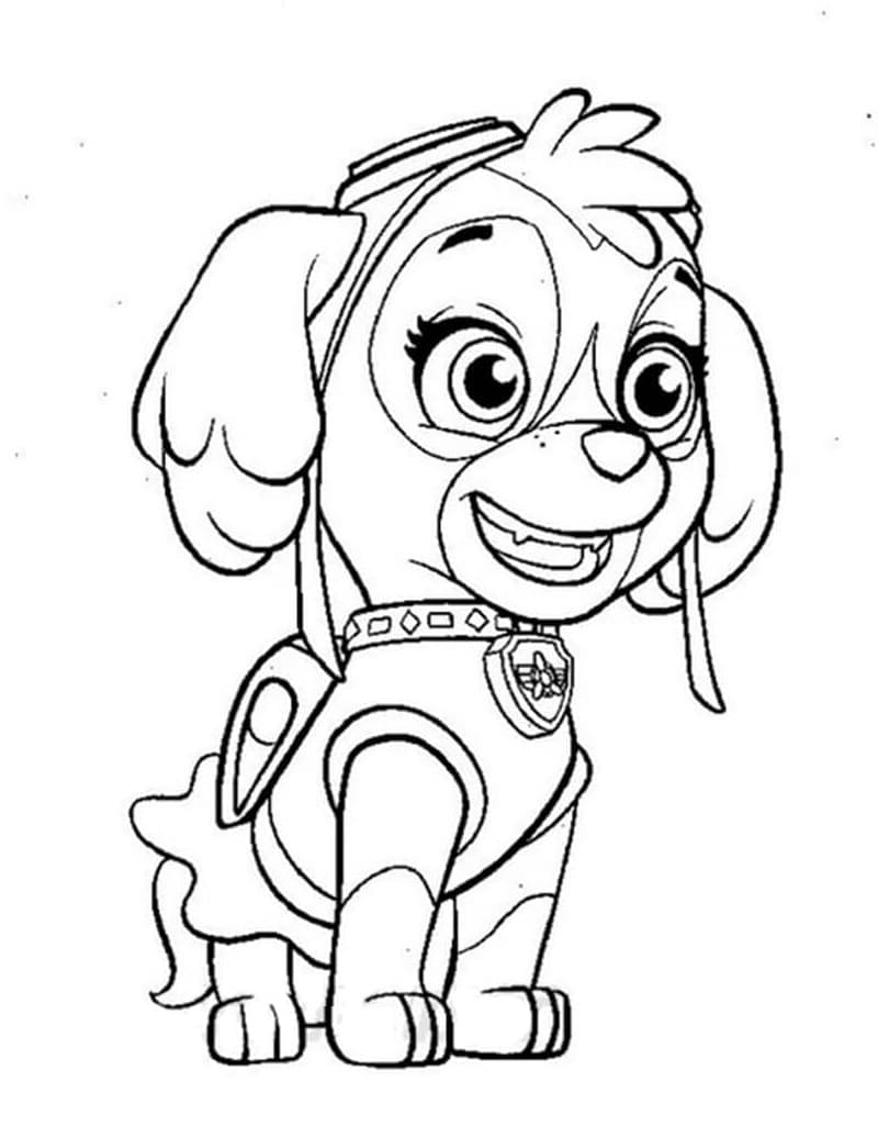 Patrulha Canina Skye Sorridente para colorir