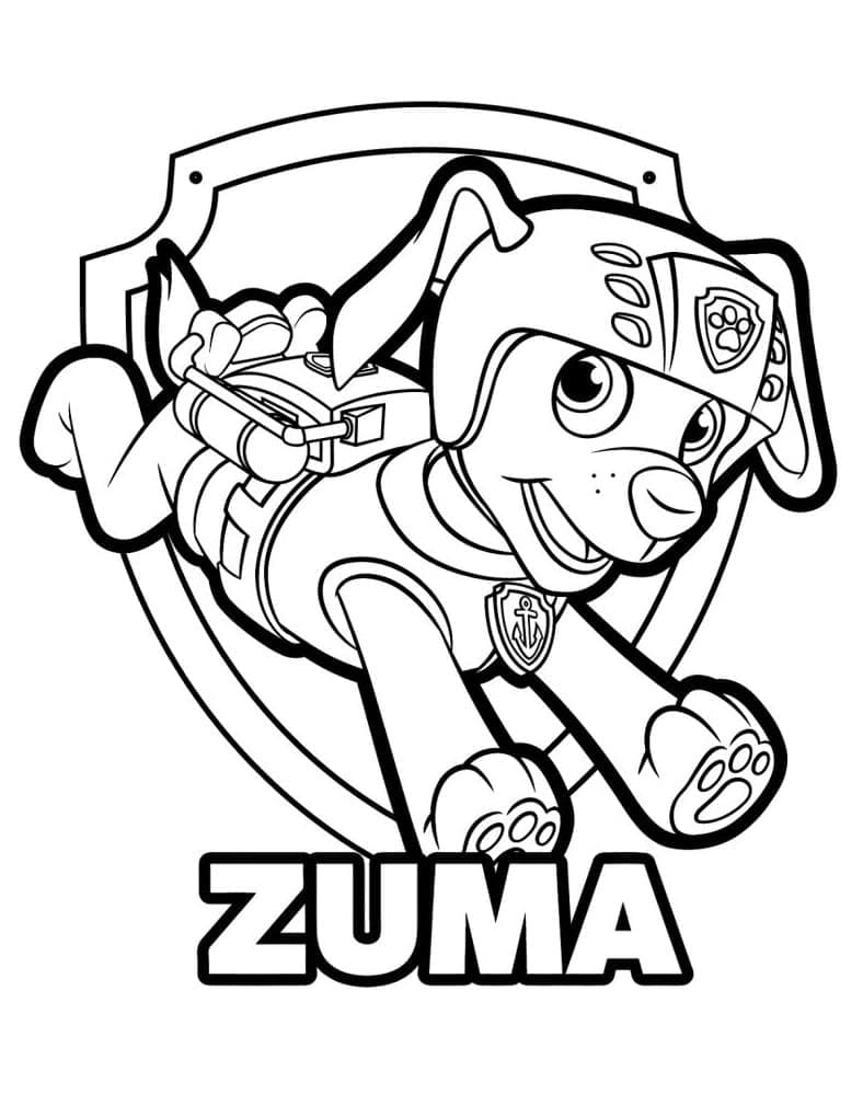 Patrulha Canina Zuma Legal para colorir