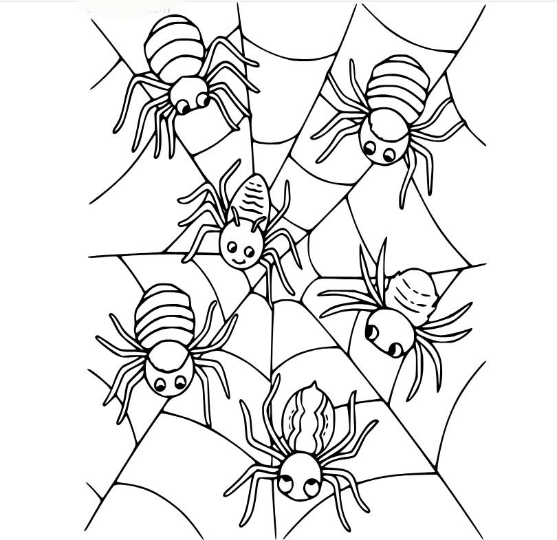 Desenhos de Seis aranhas na teia para colorir