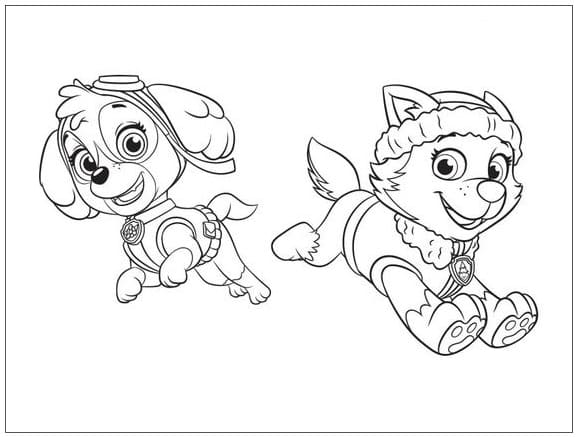 Desenhos de Skye e a Patrulha Canina do Everest para colorir