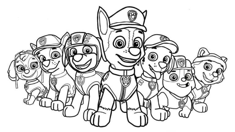 Desenhos de Zuma e amigos legais para colorir