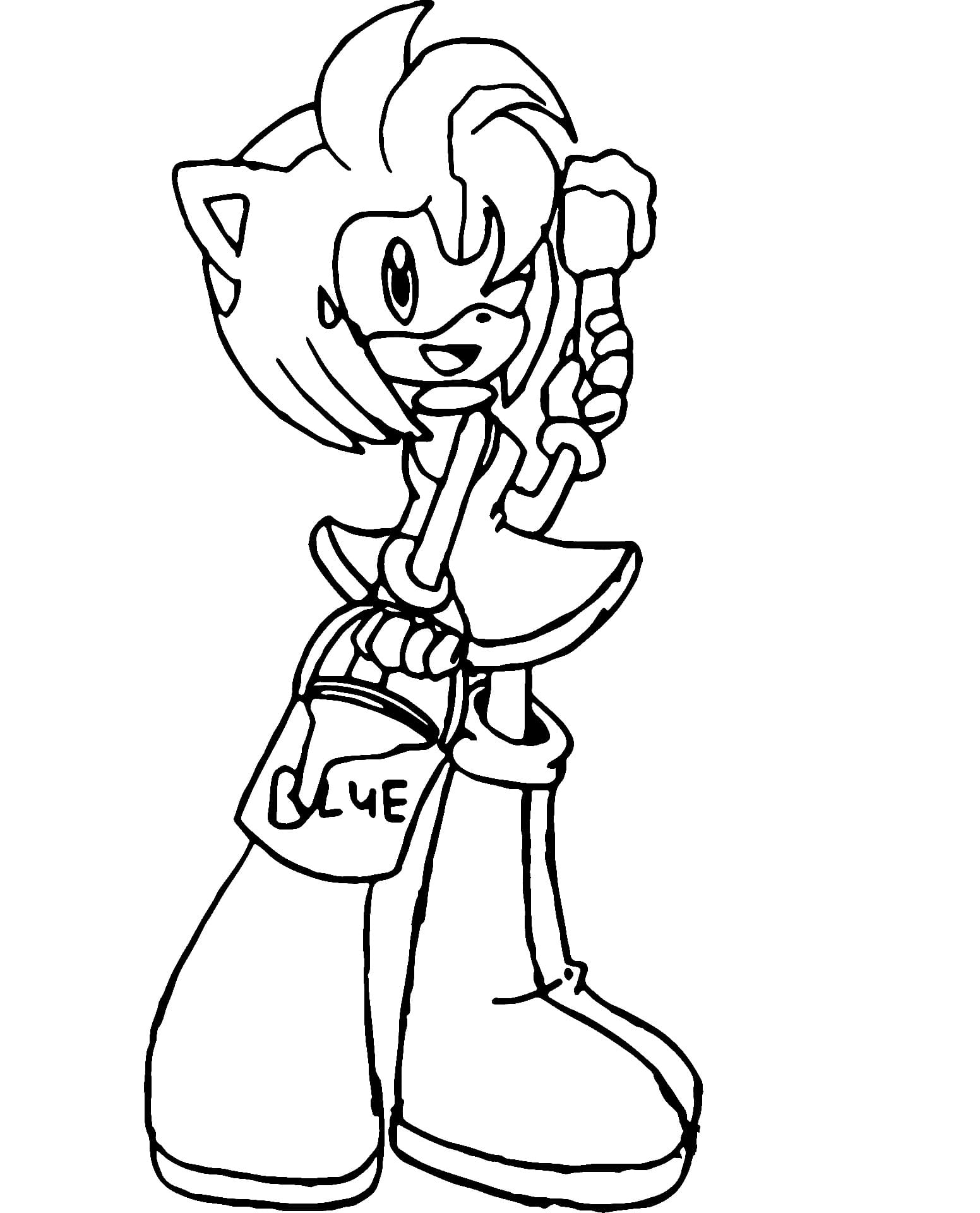 Desenhos de Amy Rose com tinta para colorir