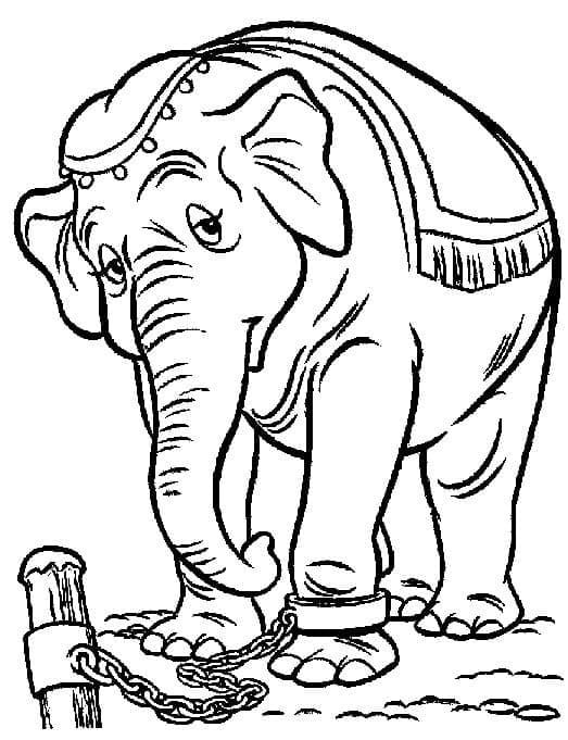 Desenhos de Desenhe a Sra. Jumbo de Dumbo para colorir