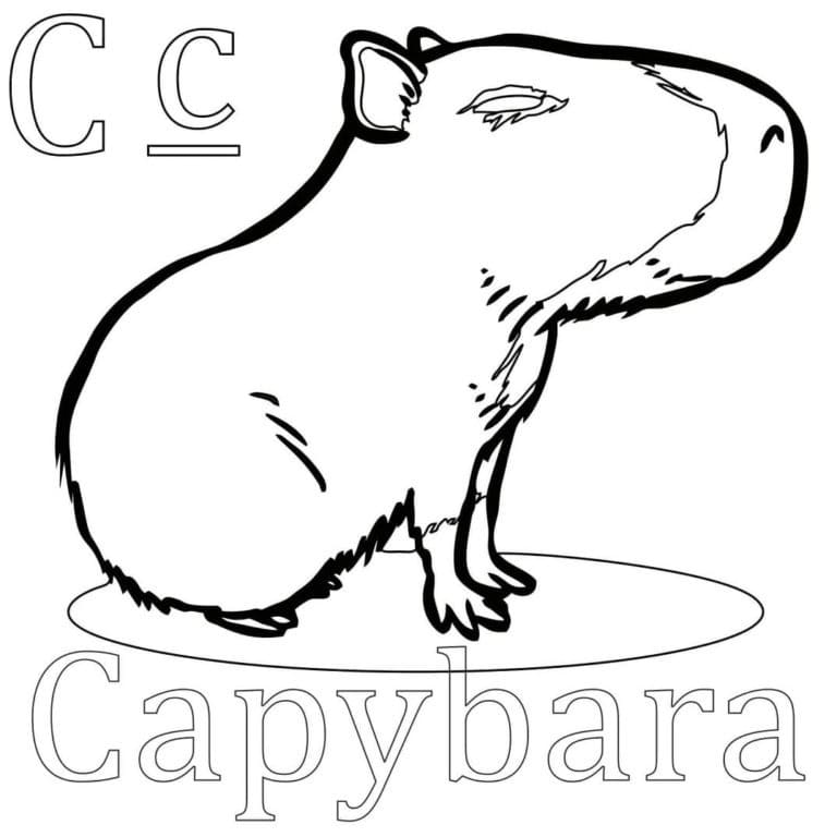 Desenhos de Pequena Capivara para colorir