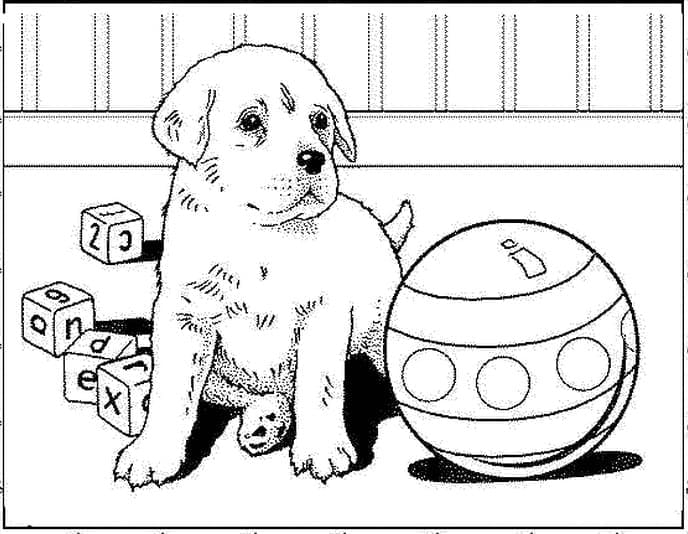 Desenhos de Cachorrinho com uma bola para colorir