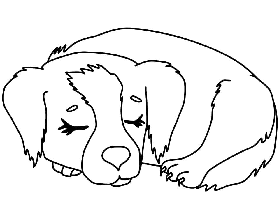 Desenhos de Cachorrinho dormindo para colorir