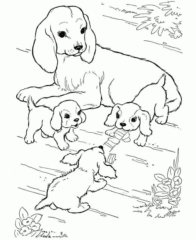 Desenhos de Cachorrinho e Filhotes para colorir