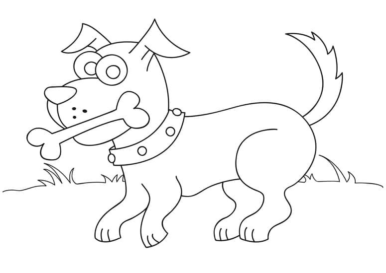 Desenhos de Cachorrinho e Osso para colorir