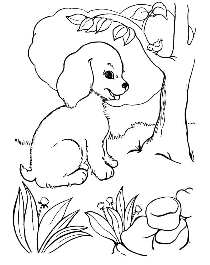 Desenhos de Cachorrinho e um pássaro para colorir