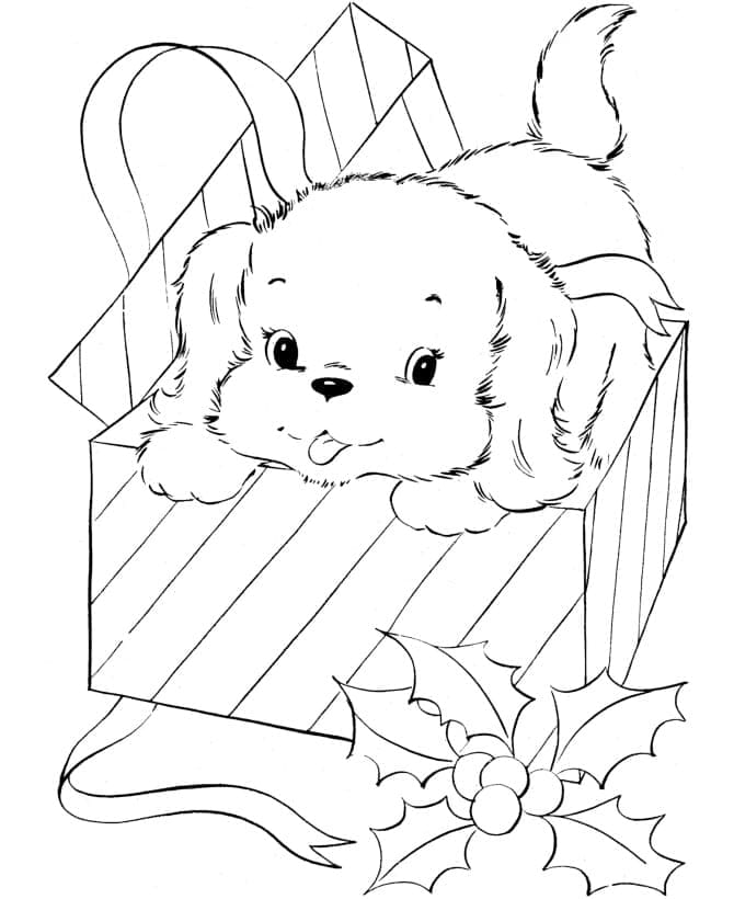 Cachorrinho Para Colorir