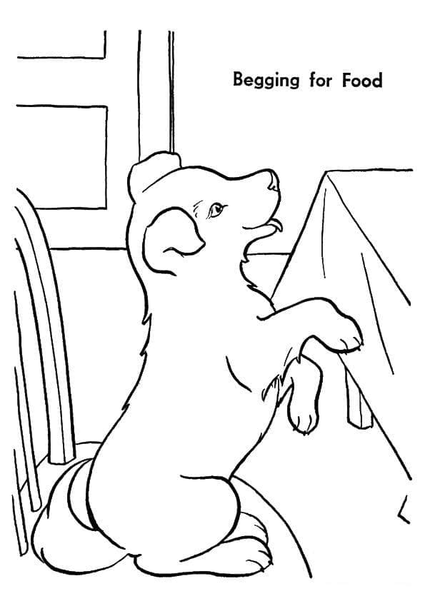 Desenhos de Cachorrinho implorando por comida para colorir