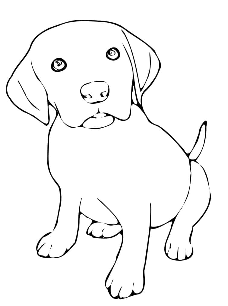 Desenhos de Cachorrinho imprimir para colorir