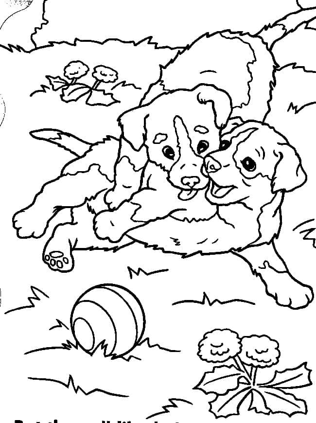 Desenhos de Dois Cachorrinho para colorir