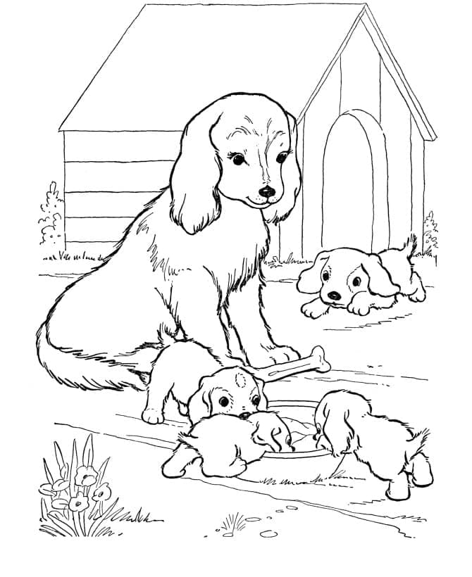 Desenhos de Mãe Cachorrinho e Filhotes para colorir