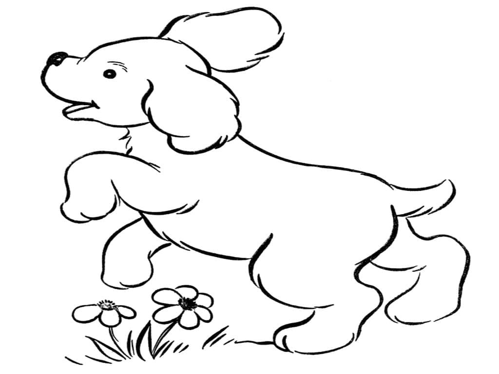 Desenhos de O cachorrinho está brincando para colorir