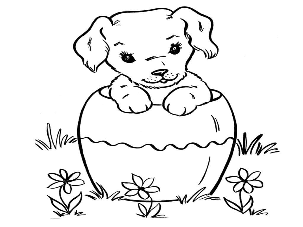 Desenhos de Um cachorrinho para colorir