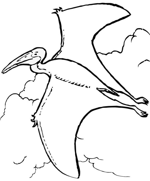 Desenhos de Desenhar Pterodáctilo Imprimir para colorir