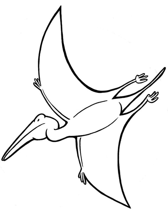 Desenhos de Desenhar Pterodáctilo para imprimir grátis para colorir