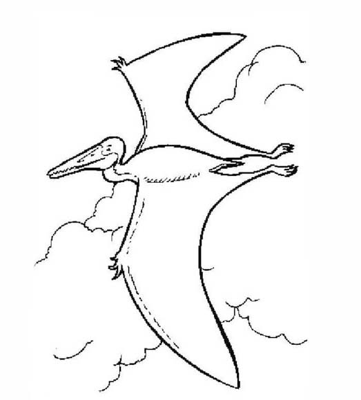 Desenhos de Desenhar fácil Pterodáctilo para colorir