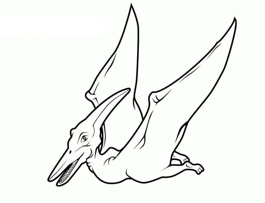 Desenhos de Desenhar grátis Pterodáctilo imprimir para colorir