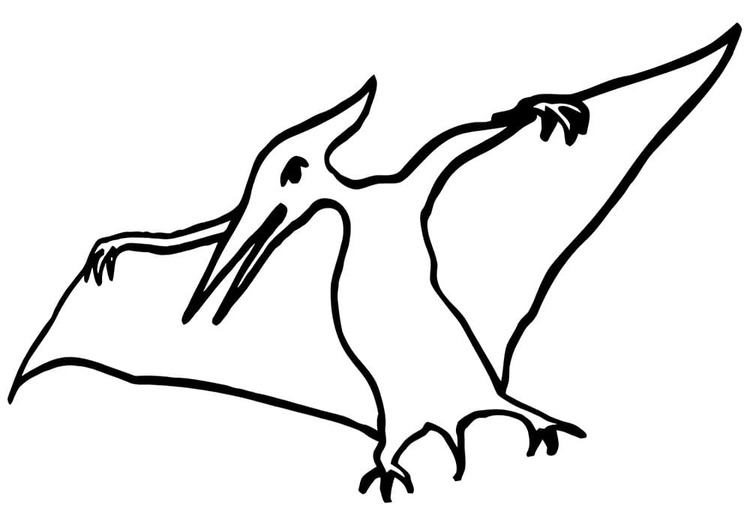 Desenhos de Desenhar imagem de Pterodáctilo para colorir