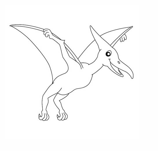 Pterodáctilo Para Colorir