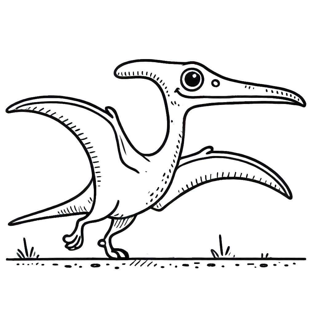 Desenhos de Desenhe Pterodáctilo 1 para colorir