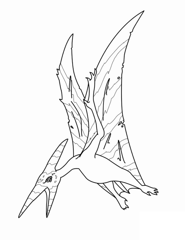 Desenhos de Desenhe Pterodáctilo básico para colorir