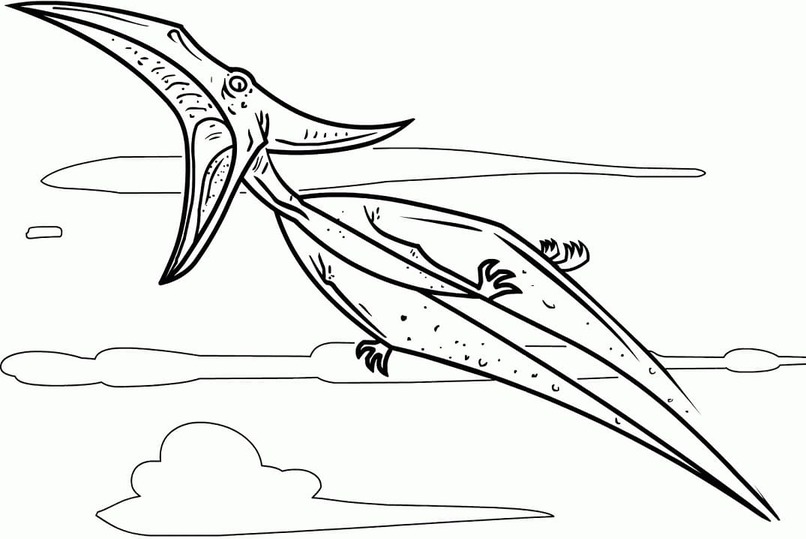 Desenhos de Desenhe Pterodáctilo grátis fácil para colorir