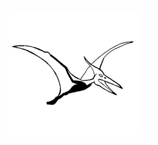 Desenhos de Desenhe pequeno pterodáctilo para colorir